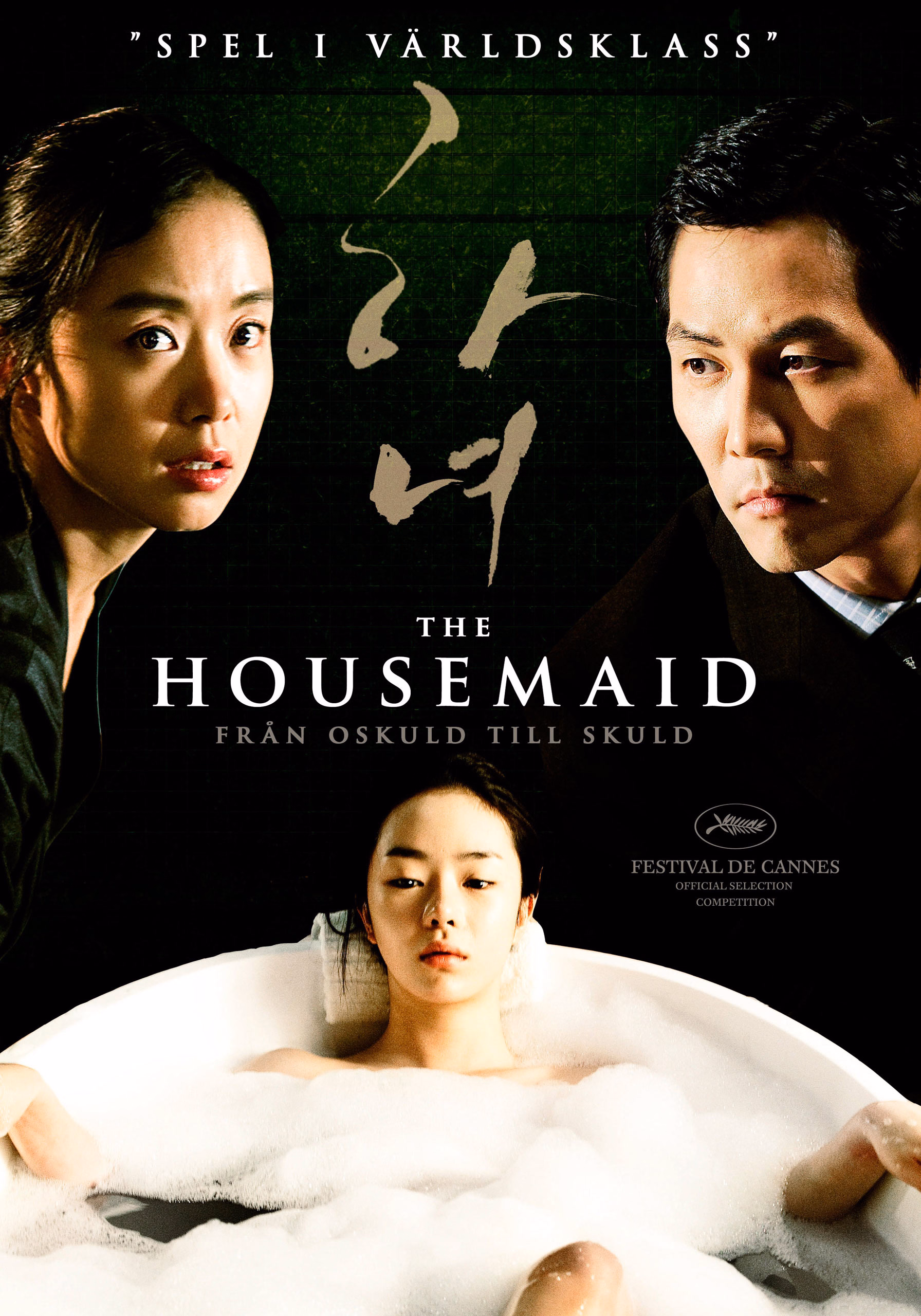 The Housemaid (2010) key art